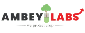 Ambey Laboratories Limited IPO – GMP, Review, Price Band, Subscription & Allotment Details