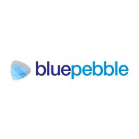 Blue Pebble Limited IPO – GMP, Review, Price Band, Subscription & Allotment Details