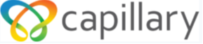 Capillary Technologies India Limited IPO – GMP, Review, Price Band, Subscription & Allotment Details