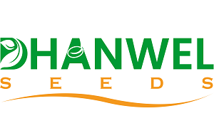 Dhanwel Hybrid Seeds