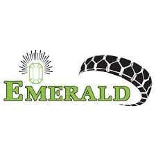 Emerald Tyre Manufacturers Limited IPO – GMP, Review, Price Band, Subscription & Allotment Details