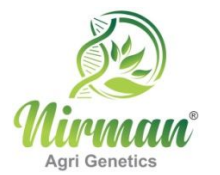 Nirman Agri Genetics Limited IPO – GMP, Review, Price Band, Subscription & Allotment Details