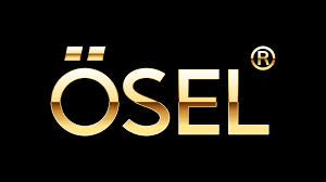 Osel Devices Limited IPO – GMP, Review, Price Band, Subscription & Allotment Details